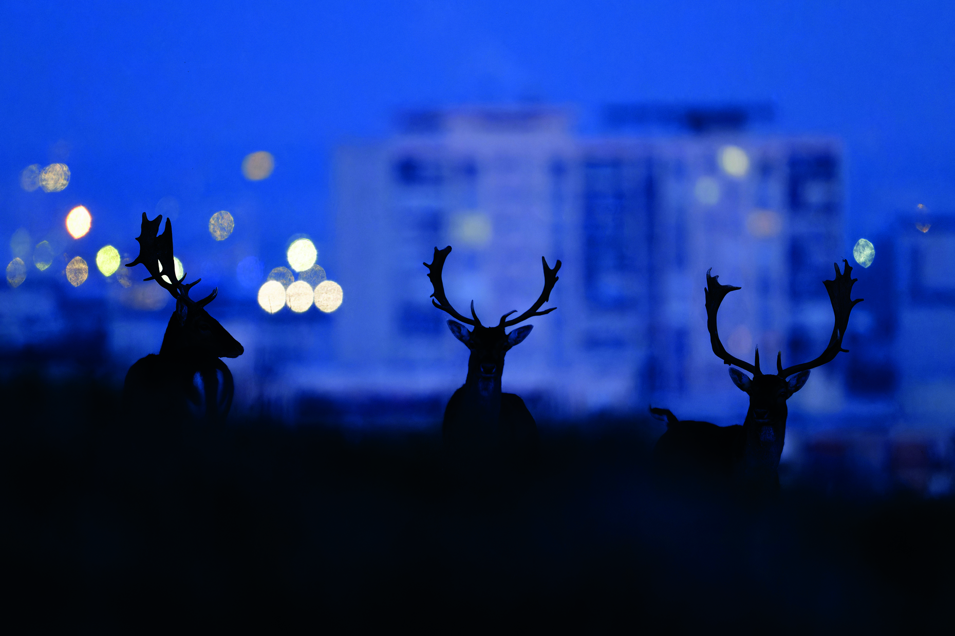 Pour une meilleure imbrication de la vie et de la ville - Image 2