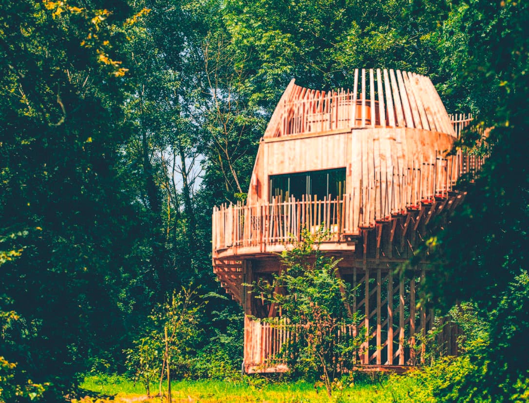 Coucoo Cabanes Grands Lacs : Menuiseries K-Line - Image 5